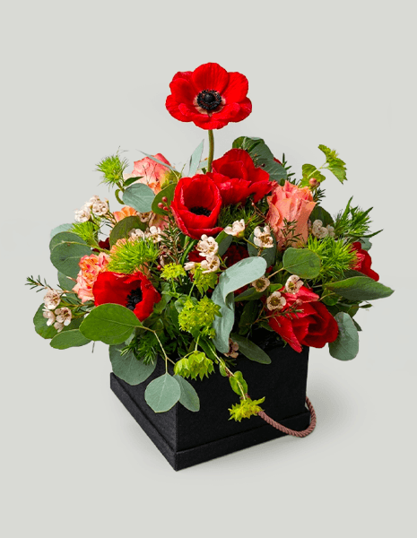GIADA FLOWER BOX Anemoni rossi, bupleurum, wax flower ed eucalipto