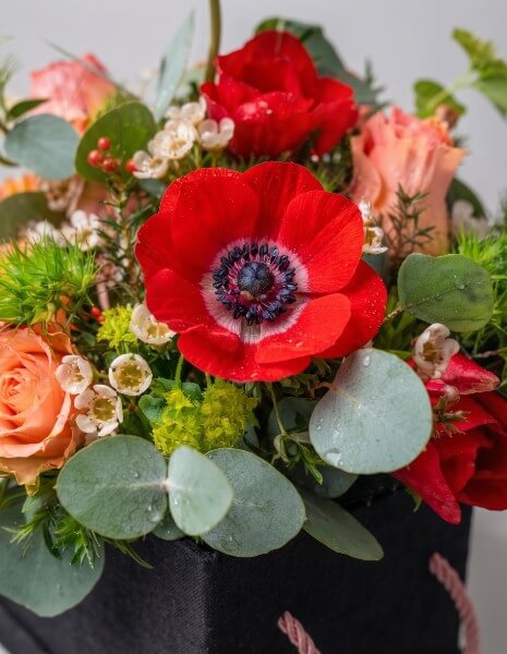 GIADA FLOWER BOX M - Anemoni rossi, bupleurum, wax flower ed eucalipt