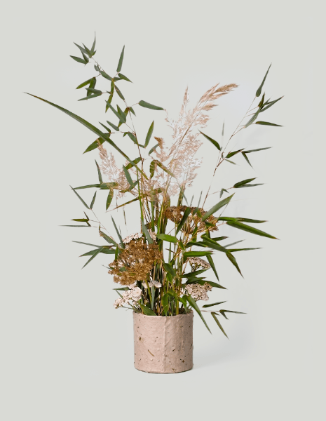 SIENA FLOWER BOX Flower box bamboo con elementi naturali essiccabili e duraturi