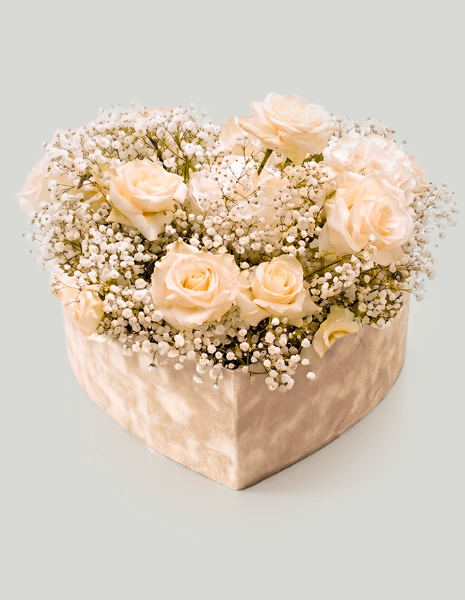 VELO FLOWER BOX a cuore in velluto con rose bianche mondial e gypsophila bianca 