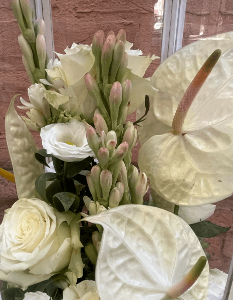 LUCE FLOWER BOX Lanterna rose Mondial, anthurium ed eremurus