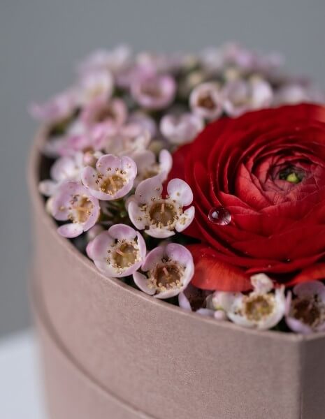 AURORA FLOW BOX S - Cuore in carta naturale con ranuncoli rossi, wax flower e chamelaucium