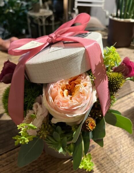 ALBA FLOWER BOX Rose inglesi pesca, lisianthus, echinacea, bupleurum e margherite