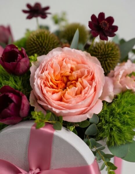 ALBA FLOWER BOX M - Rose inglesi pesca, lisianthus, echinacea, bupleurum e margherite