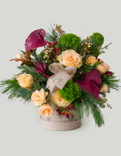 RIBES FLOWER BOX Pino strobus, anthurium viola, Green Trick, roselline crema