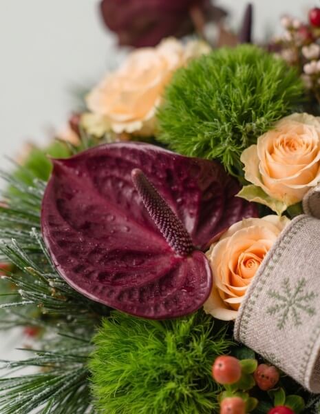 RIBES FLOWER BOX Pino strobus, anthurium viola, Green Trick, roselline crema