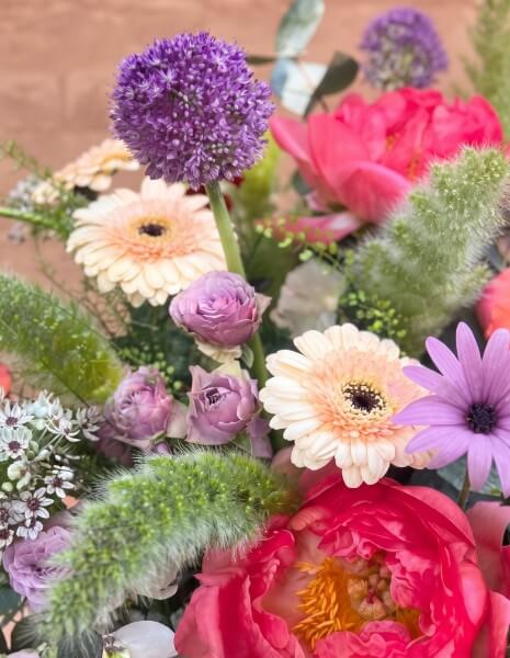 BLOOM FLOWER BOX XXL - peonie, gerbere, aglio ornamentale, roselline ramificate e mix di verdi