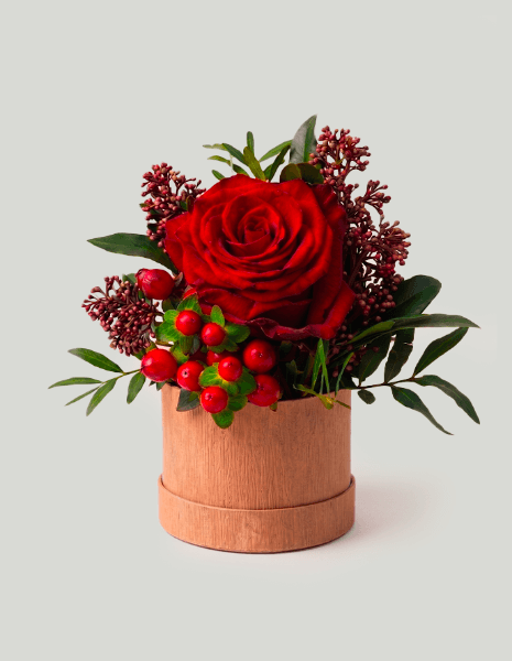 GRANATA FLOWER BOX Mini box cilindrica Havana con rosa rossa Explorer, skimmia e anthurium rosso