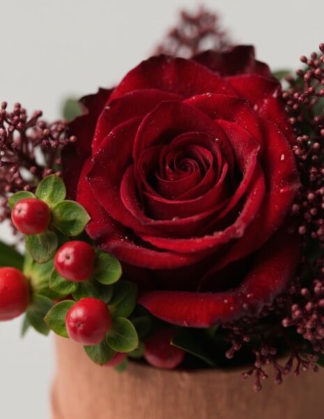GRANATA FLOWER BOX XS - Mini box cilindrica Havana con rosa rossa Explorer, skimmia e anthurium