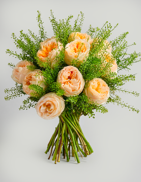 BOUQUET DRUSILLA Rose inglesi color pesca con verde brillante Thlaspi Green Bell