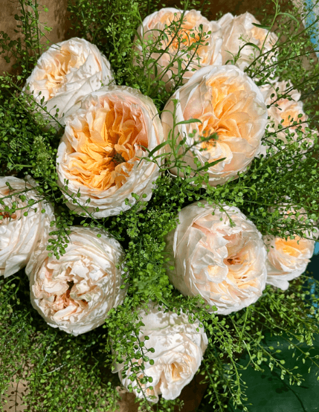 BOUQUET DRUSILLA Rose inglesi color pesca con verde brillante Thlaspi Green Bell