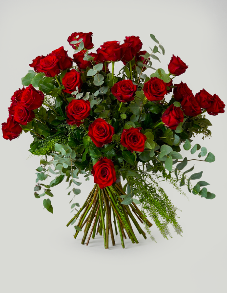 BOUQUET VALENTINA 25 rose rosse Explorer con eucalipto e thlaspi Green Bell