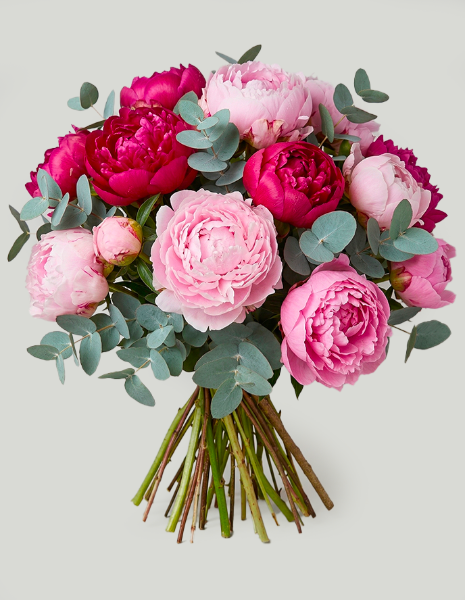 BOUQUET ANASTASIA Ampia composizione di peonie rosa e fucsia con eucalipto
