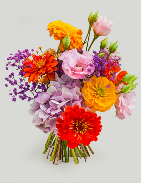 BOUQUET ANNALISA Zinnie dai colori accesi con ortensia lilla, lisianthus e gypsophila