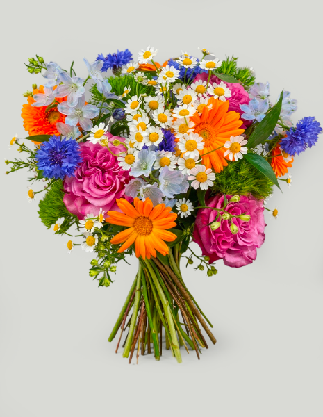 BOUQUET CAMILLA Rose fucsia con prevalenza di camomilla, gerbere tipo margherita e calendula