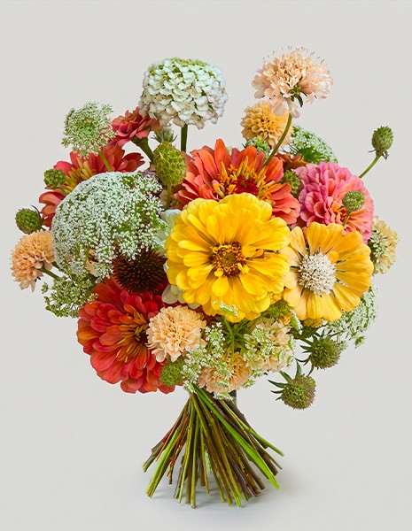 Bouquet Caterina con zinnie e fiori di campo