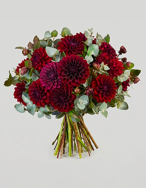 Bouquet Dalia con dalie bordeaux ed eucalipto