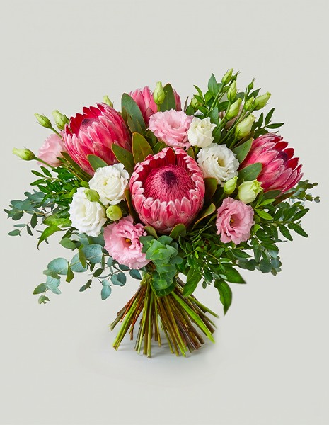 Bouquet Fausta con protea