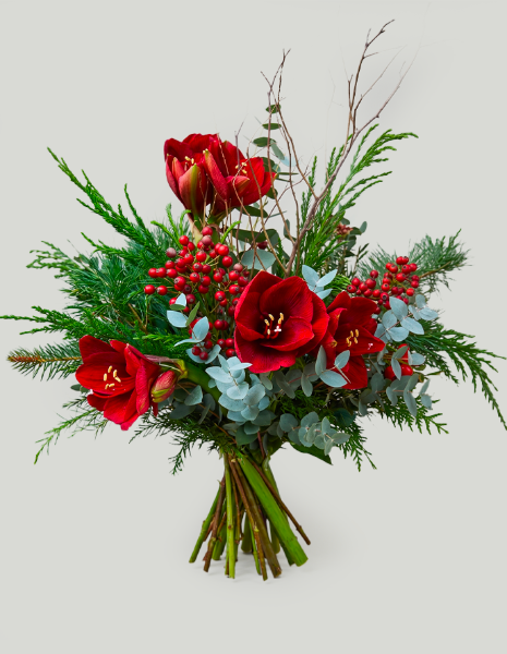 BOUQUET LIA Mazzo natalizio con amarillis rosso, bacche decorative e tuia