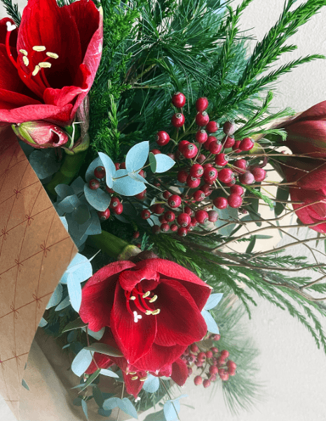 BOUQUET LIA Mazzo natalizio con amarillis rosso, bacche decorative e tuia