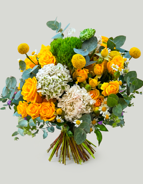 BOUQUET MARINA Rose gialle, ranuncoli bianchi ricci, craspedia, camomilla, Green Trick