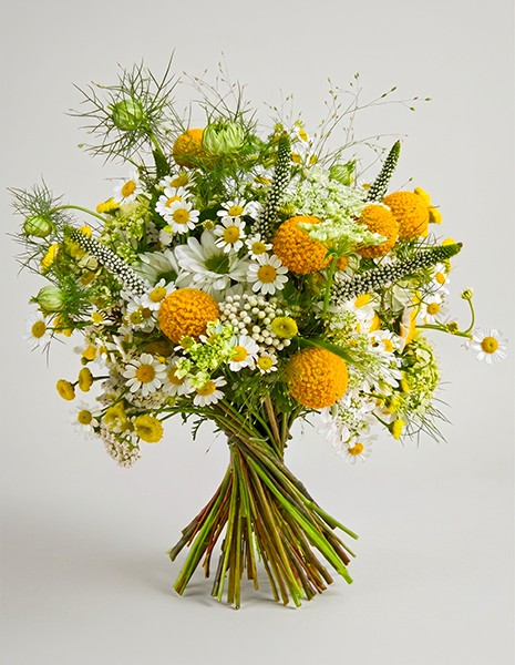 Bouquet Nora con fiori di campo e camomilla nei toni verde, bianco e giallo