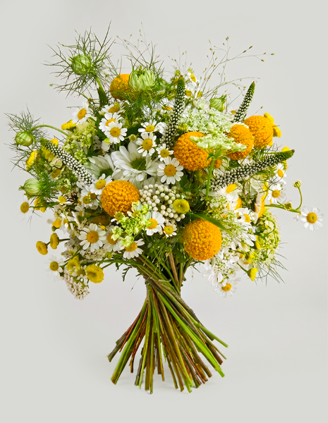 BOUQUET NORA fiori di campo, camomilla, scabiosa, tanaceto, craspedia e veronica