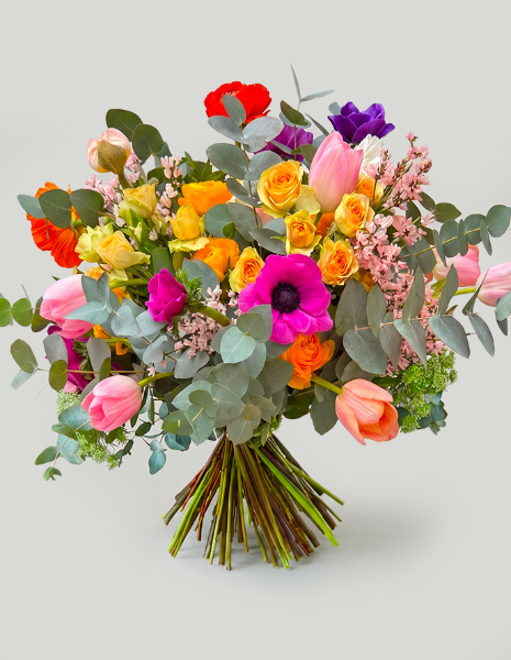 BOUQUET PAULA Tulipani rosa, anemoni fucsia, lilla e rossi, roselline, papaveri e ginestra