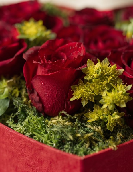 PORPORA FLOWER BOX M - Cuore rosso con rose rosse Explorer e verdi decorativi