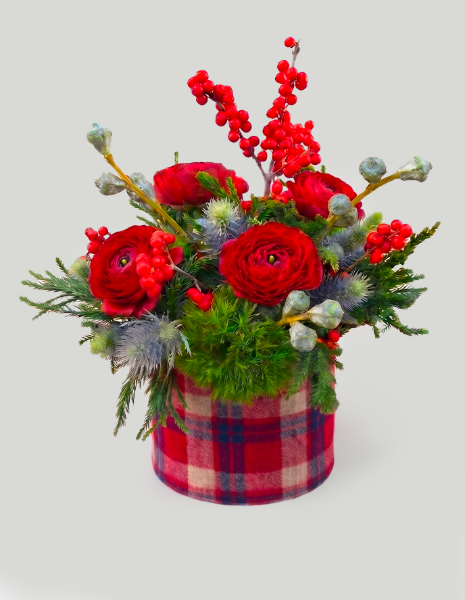 TARTAN FLOWER BOX Ranuncoli, leucadendron, eryngium e conifere