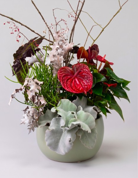 MIX Composizione piante botanical style red con ciotola in ceramica