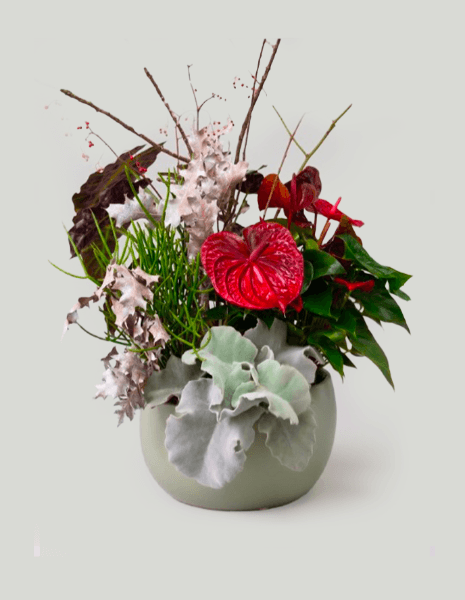 Composizione piante botanical style red con ciotola in ceramica