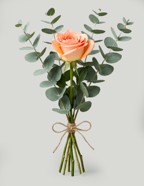 ROSE BIANCHE da comporre in mazzo per numero di steli