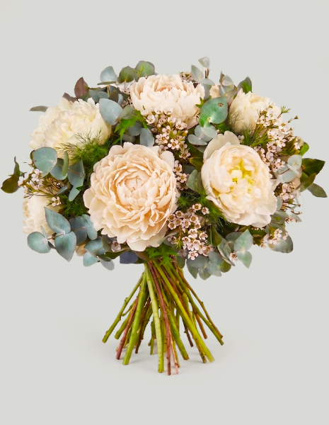 BOUQUET GEMMA Peonie bianche, wax flower bianco ed eucalipto