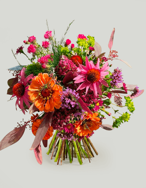 BOUQUET BENEDETTA zinnie arancio, echinacee fucsia, scabiose, verbena bonariensis