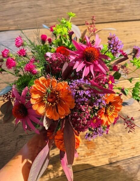 BOUQUET BENEDETTA zinnie arancio, echinacee fucsia, scabiose, verbena bonariensis