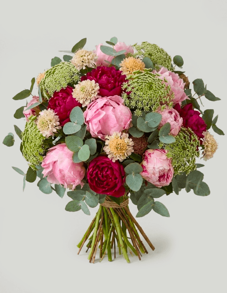 BOUQUET DALILA Peonie bordeaux e rosa, scabiosa, Ammi visnaga ed eucalipto
