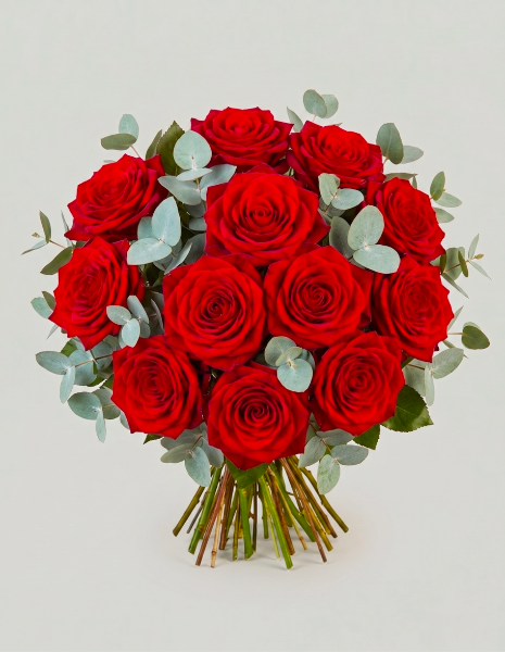 BOUQUET VERA 12 rose rosse Explorer a stelo lungo ed eucalipto