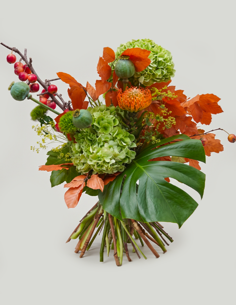 BOUQUET ZAIRA Melo selvatico rosso, ortensia verde, protea nutans, papavero fresco, faggio